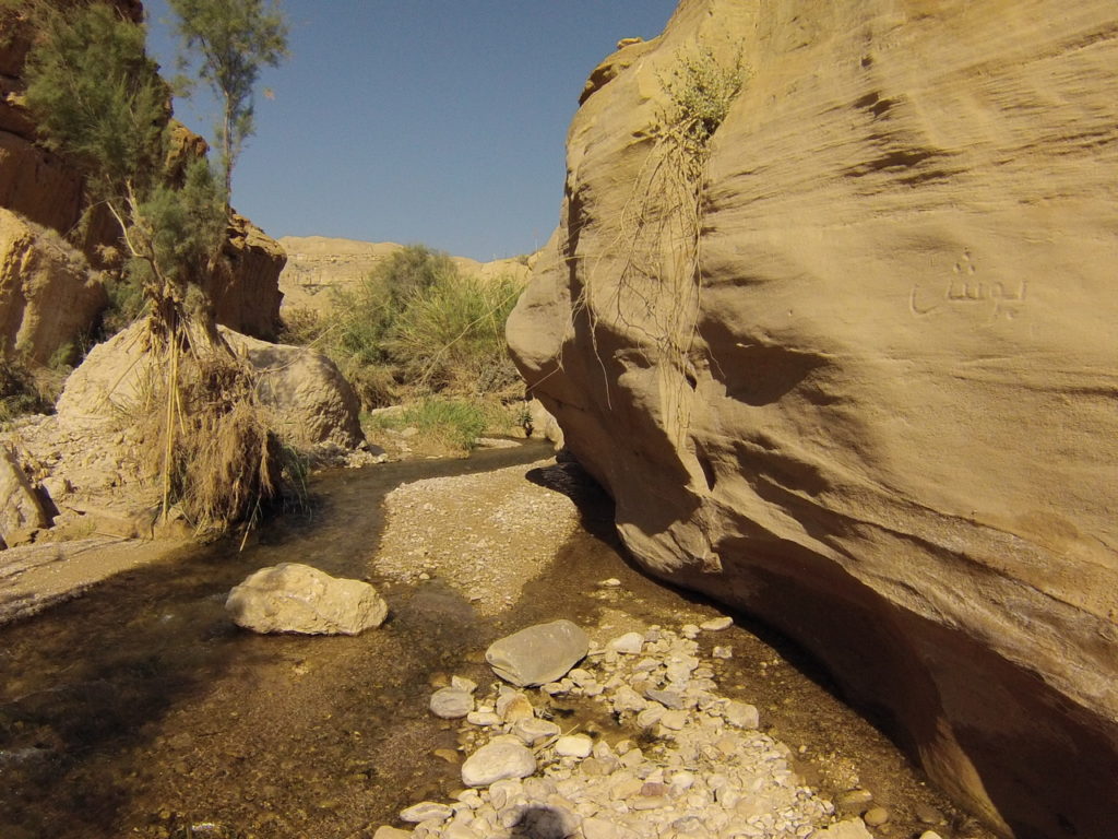 Wadi Bin Hammad, source d'eau chaude en Jordanie