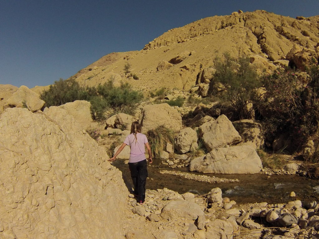 chatounette dans Wadi Ibn Hammad, source d'eau chaude en Jordanie