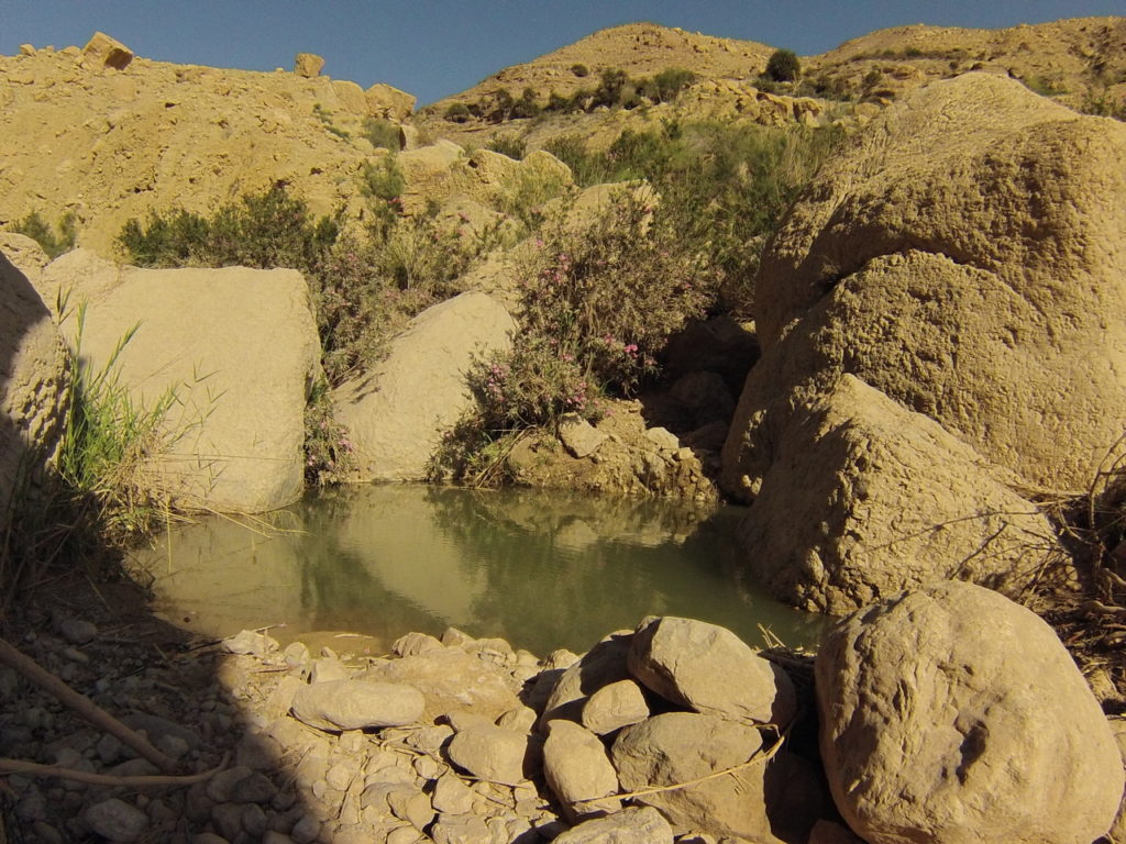 Wadi Ibn Hammad, source d'eau chaude en Jordanie