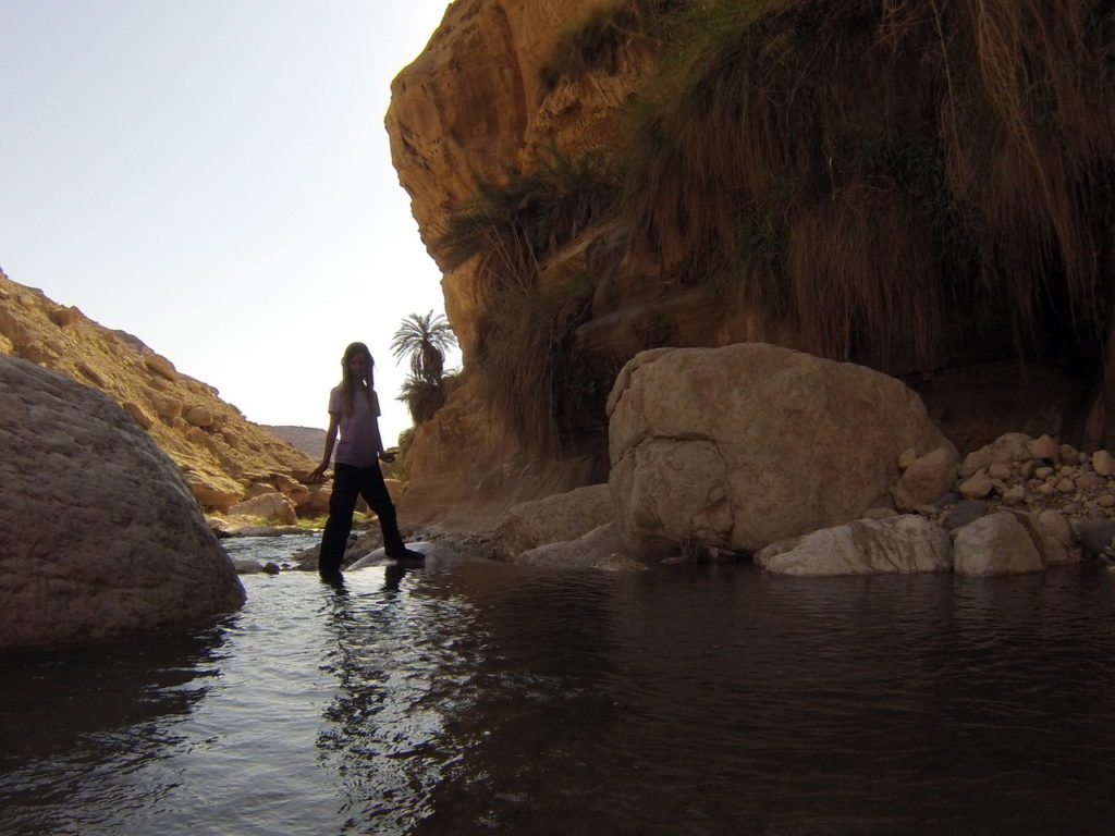chatounette dans Wadi Bin Hammad, source d'eau chaude en Jordanie