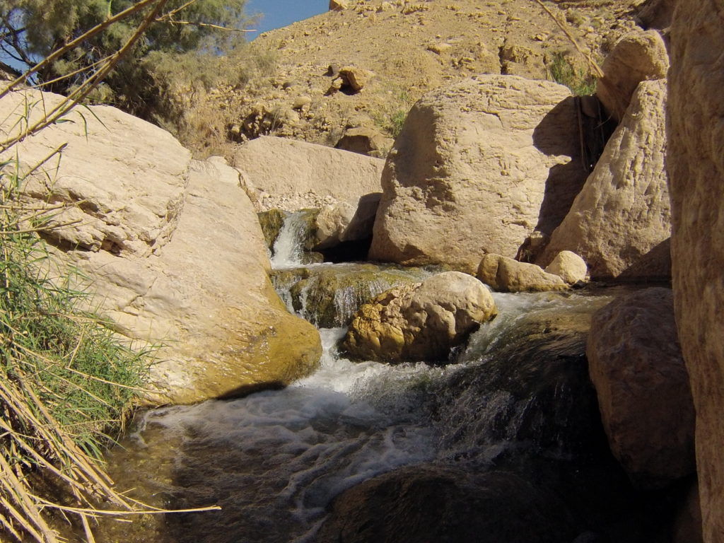 rapides du Wadi Bin Hammad, source d'eau chaude en Jordanie