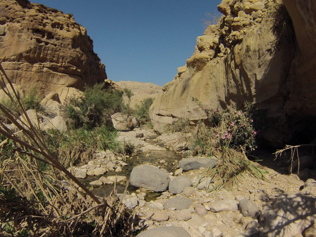 Wadi Bin Hammad, source d'eau chaude en Jordanie