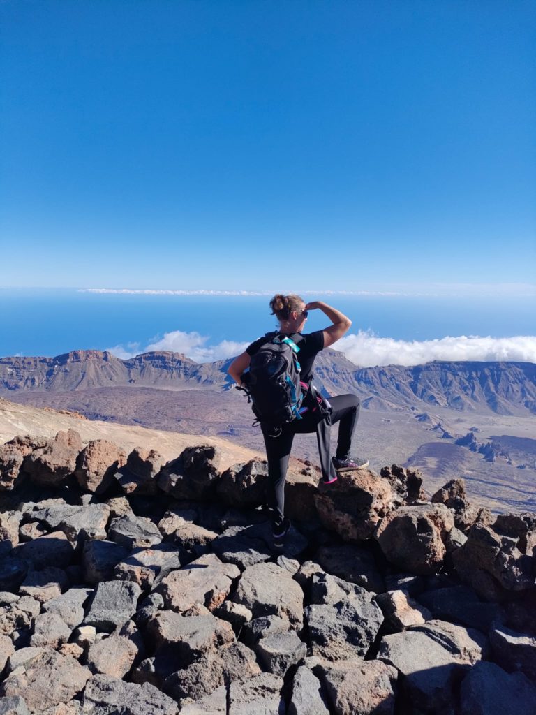 chatoune admirant le paysage depuis le sentier de roche volcanique du volcan Teide, Ténérife