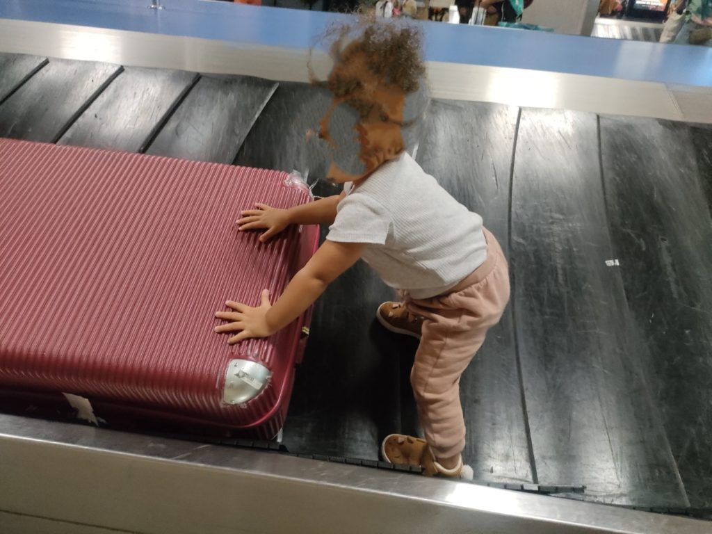 choupinette sur le tapis des bagages