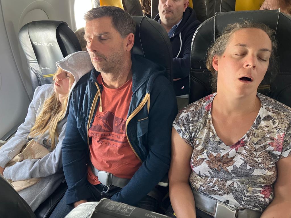 les 3 chatons qui dorment dans l'avion pour ténérife