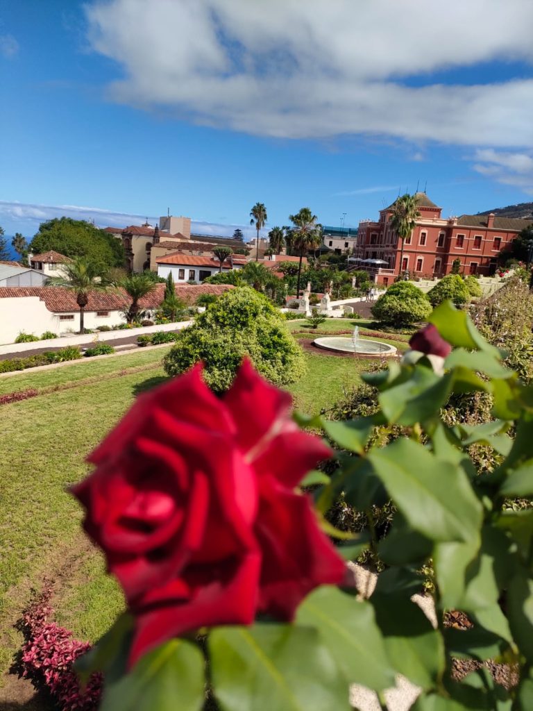rose du Jardines del Marquesado de la Quinta Roja, La Orotava, Ténérife