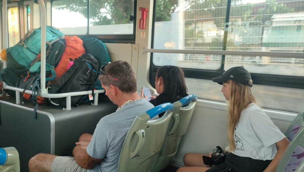 Chaton et chatounette dans le bus pour l'aéroport de Papeete